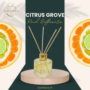 Citrus Grove Reed Diffuser Scentara