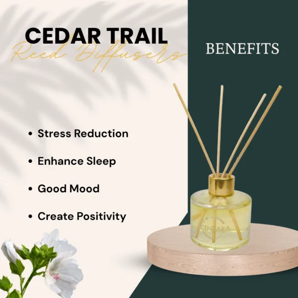 Cedar Trail Reed Diffuser Scentara - Image 4
