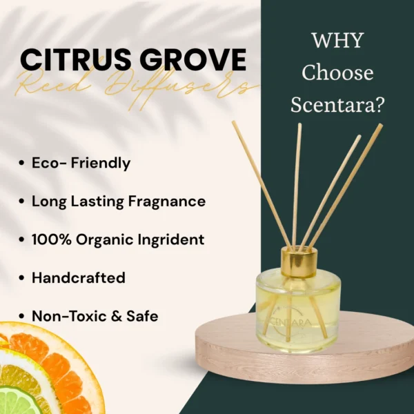 Citrus Grove Reed Diffuser Scentara - Image 3