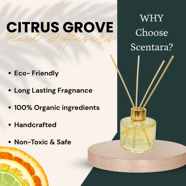 Citrus Grove Reed Diffuser Scentara - Image 5