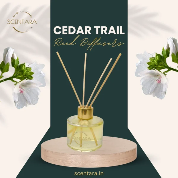 Cedar Trail Reed Diffuser Scentara
