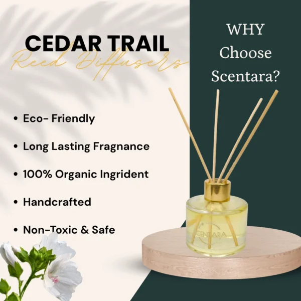 Cedar Trail Reed Diffuser Scentara - Image 3